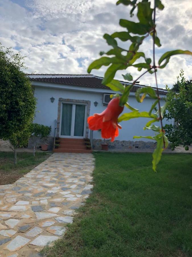 Villa Casa Lusentum Torrevieja Exterior foto